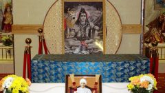 Shivratri-2010-02-25-21-28-42