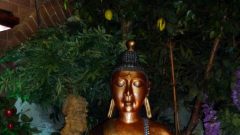 Religious-Coach-Trip-2010-05-09-10-45-48