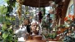 Religious-Coach-Trip-2010-05-09-10-53-32