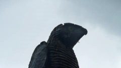 Summer-Picnic-2010-08-14-12-21-21