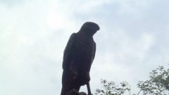 Summer-Picnic-2010-08-14-12-21-39