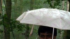 Summer-Picnic-2010-08-14-12-32-39