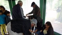 Summer-Picnic-2010-08-14-13-12-24