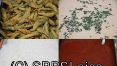 Janmasthmi-2010-09-04-17-24-15