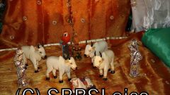 Janmasthmi-2010-09-04-18-27-15