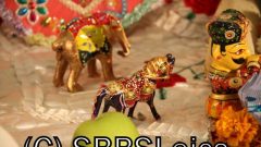 Janmasthmi-2010-09-04-19-30-37