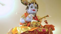 Janmasthmi 2010-09-04 20-22-18