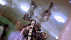 Janmasthmi 2010-09-04 22-15-27