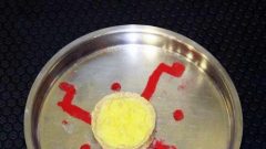 Navratri 2010-10-15 21-17-25