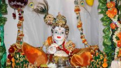 2011-11 IMG_3634.jpg