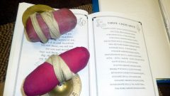 Trikamji Bapu Satsung 2011-2012 (2)