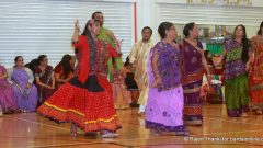 Navratri 2014-10-03 222810