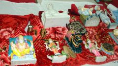 2015-02 Trikamji Bapu Murti Prastistha (5)