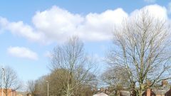 Holi 2016 Photos Varsha Modha (8)