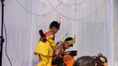 Ram Navami 20160423_164247