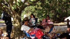 2018-08-04 at 17.13.34