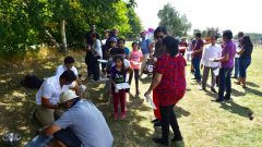 Bosworth Park 111 - 20180804_130746