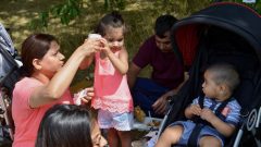 Bosworth Park 115 - 20180804_132945