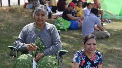 Bosworth Park 123 - 20180804_133150