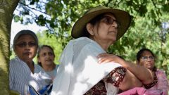 Bosworth Park 136 - 20180804_164300