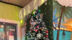 PHOTO-2021-12-11-21-14-47