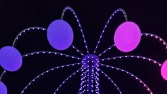 PHOTO-2022-03-07-07-46-07 2