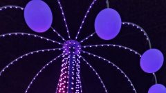 PHOTO-2022-03-07-07-46-07