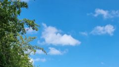 PHOTO-2022-04-24-16-21-13