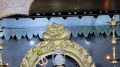 PHOTO-2022-04-24-22-42-00 2