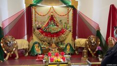 PHOTO-2022-04-24-22-42-01 5