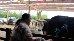 PHOTO-2022-05-03-22-09-05 3