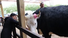 PHOTO-2022-05-03-22-09-05 4