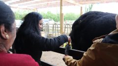 PHOTO-2022-05-03-22-09-05 6