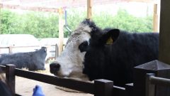 PHOTO-2022-05-03-22-09-06 7