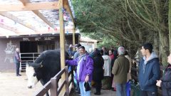 PHOTO-2022-05-03-22-09-07 4