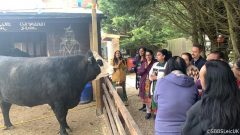 PHOTO-2022-05-03-22-15-07