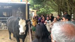 PHOTO-2022-05-03-22-15-08 2