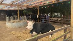 PHOTO-2022-05-03-22-15-08