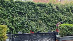 PHOTO-2022-08-23-22-52-45