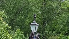 PHOTO-2022-08-23-22-59-17