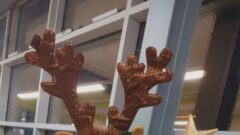 2022-12 7aa39311-b28f-4959-9470-7d914755f298