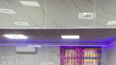 Patotsav-2025-03-25-08-26-23