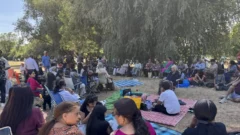 Picnic 2026 - 316