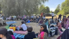 Picnic 2026 - 317