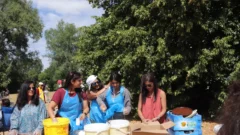 Picnic 2026 - 378