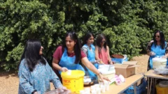 Picnic 2026 - 380