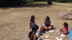 Picnic 2026 - 392