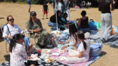 Picnic 2026 - 402