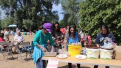 Picnic 2026 - 408